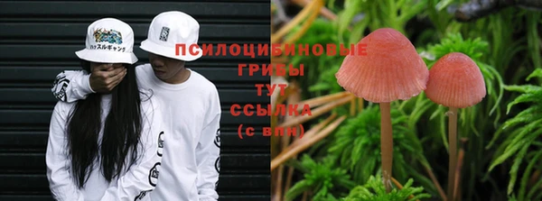 ALPHA PVP Покровск