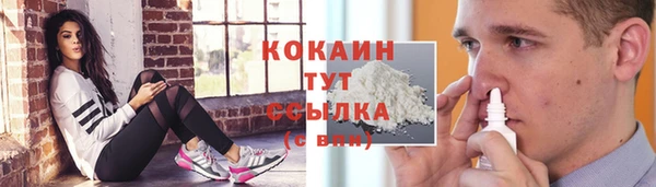 гидра Балахна